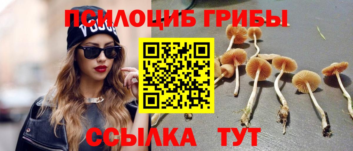 Калач-на-Дону  как найти закладки  Вход с VPN  Галлюциногенные грибы прущие грибы  Псилоцибиновые грибы мицелий 